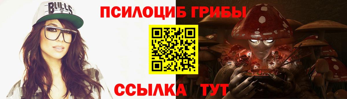 Галлюциногенные грибы Cubensis  Вход с VPN  Сатка 